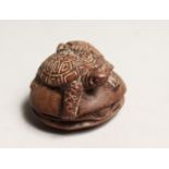 A JAPANESE CARVED WOOD TURTLE GROUP NETSUKE