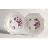 A PAIR OF 19TH CENTURY BERLIN OCTAGONAL PLATES with painted borders and flowers. septre mark in blue