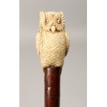 A VERY GOOD 19TH CENTURY CARVED IVORY OWL, RUSTIC WALKING CANE 3ft long.