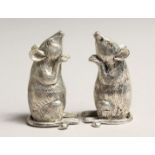 A PAIR OF .925 SILVER PLATED MICE SALT AND PEPPERS