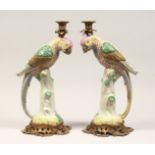 A PAIR OF DECORATIVE PORCELAIN AND ORMOLU CANDLESTICKS, modelled as parrots on tree stumps 16ins