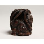 A JAPANESE CARVED WOOD DRAGON NETSUKE