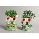 A PAIR OF STAFFORDSHIRE BOCAGE GROUP OF SHEEP with lambs, with bocage backs