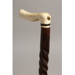 A GOOD 19TH CENTURY BONE HANDLE WALKING STICK with twiststem. 30.5ins long