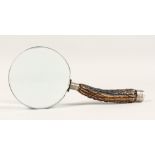 A LARGE VICTORIAN SILVER MOUNTED HORN MAGNIFYING GLASS
