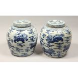 A PAIR OF CHINESE BLUE AND WHITE PORCELAIN JARS AND COVERS, painted with lion dogs 12.5ins high.