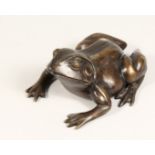 A GOOD HEAVY BRONZE FROG 8ins long