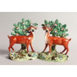 A PAIR OF STAFFORDSHIRE BOCAGE GROUPS OF STANDING DEER with spots and Bocage backs 5.5ins high