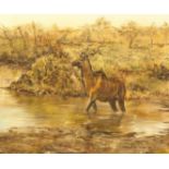 Nick Beresford-Davies (20th Century) 'Kudu' in a river, oil on canvas, signed and dated '90, 19.