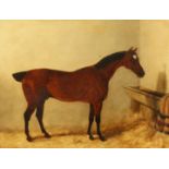 19th Century English School, A chestnut horse in a stable, oil on panel, 14" x 18".