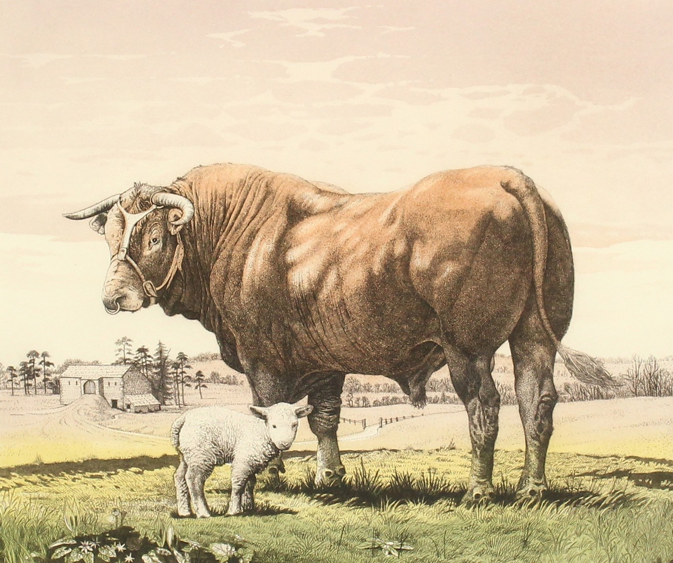 Simon Bull, 'Friesian Bull', etching, inscribed, signed in pencil and numbered 107/200, 10.5" x 11.