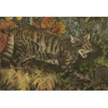 Tim J. Greenwood, 'Wild Cat', cat and hedgehog, coloured etching, signed in pencil and numbered 10/