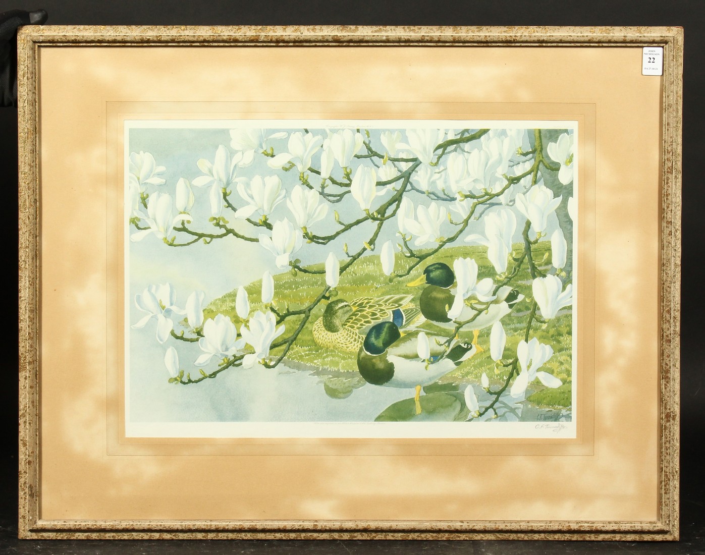 Charles Frederick Tunnicliffe (1901-1979) Ducks and magnolia, photolithograph, signed in pencil - Image 2 of 4