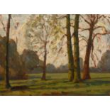 John Brown (20th Century) British, Dusk through trees, oil on board, signed with initials, 9" x