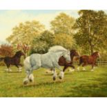 James Warren, 'Sullivan', A Whitbread Shire horse, oil on canvas, signed, 18" x 22".
