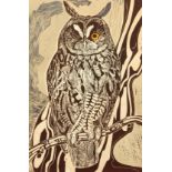 Robert Greenhalf, A Long-eared owl, linocut, artists proof, signed in pencil, 19" x 12".