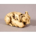 A JAPANESE MEIJI PERIOD CARVED IVORY NETSUKE - SHEEP & LAMB - the sheep recumbent with its young -