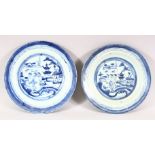 A PAIR OF 18TH / 19TH CENTURY CHINESE BLUE & WHITE PORCELAIN PLATES - each depicting a riverside