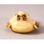 A JAPANESE MEIJI PERIOD CARVED IVORY NETSUKE - FUKURA SUZUME - carved with its feet underside and