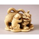 A FINE JAPANESE MEIJI PERIOD CARVED IVORY NETSUKE OF A TIGER & BOY BY SHOUNSAI JORYU - the fine