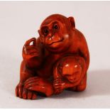 A JAPANESE CARVED WOODEN NETSUKE OF TWO MONKEYS - one seated monkey with its young, signed underside