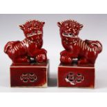 A PAIR OF CHINESE COPPER RED PORCELAIN LION DOG FIGURES - the mirrored pair upon a fixed base with