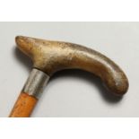 A CANE WITH RHINO HANDLE