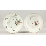 A PAIR OF 19TH CENTURY MEISSEN CIRCULAR PLATES, painted with flowers 9ins diameter.