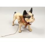 A GOOD VICTORIAN "BARKING" FRENCH BULLDOG with nodding head and articulated jaw, on four wheels,