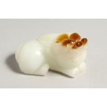 A CHINESE CARVED WHITE JADE DOG OF FOU. 3ins long