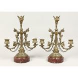 A PAIR OF 19TH CENTURY BRONZE TWO BRANCH LIGHTS on a circular marble base. 12ins high.