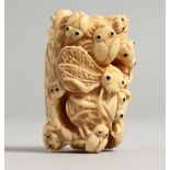 A CARVED BONE INSECT NETSUKE 1.75ins