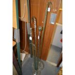 Five glass walking sticks.