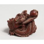 A CARVED JAPANESE WOODEN DRAGON NETSUKE. 1.75ins.