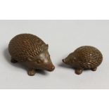 A PAIR OF JAPANESE BRONZE HEDGEHOGS. 2ins and 1ins.