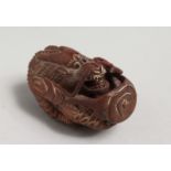 A JAPANESE CARVED WOOD DRAGON NETSUKE. 2.5ins.