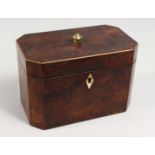 A GEORGE III AMBOYNA TEA CADDY, the hinged lid enclosing two compartments. 7ins wide.