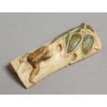 A CARVED BONE NETSUKE, Frog. 2.25ins.