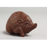 A JAPANESE CARVED HOG NETSUKE. 2.5ins.