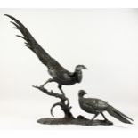 ANTON BUSCHELBERGER (1869-1934) GERMAN A LARGE BRONZE OF TWO PHEASANTS. Signed. 31ins high.