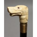 A WALKING STICK with bone handle, DOG. 33ins long.