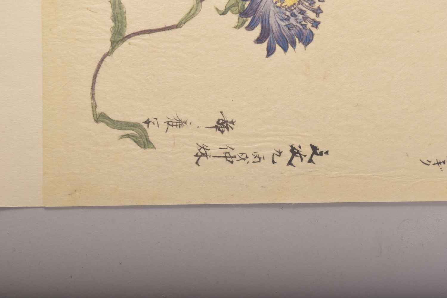 TWO JAPANESE MEIJI / TAISHO PAINTINGS OF FLOWERS ON PAPER, signed, image 27cm x 18cm and 28cm x 18. - Image 5 of 10
