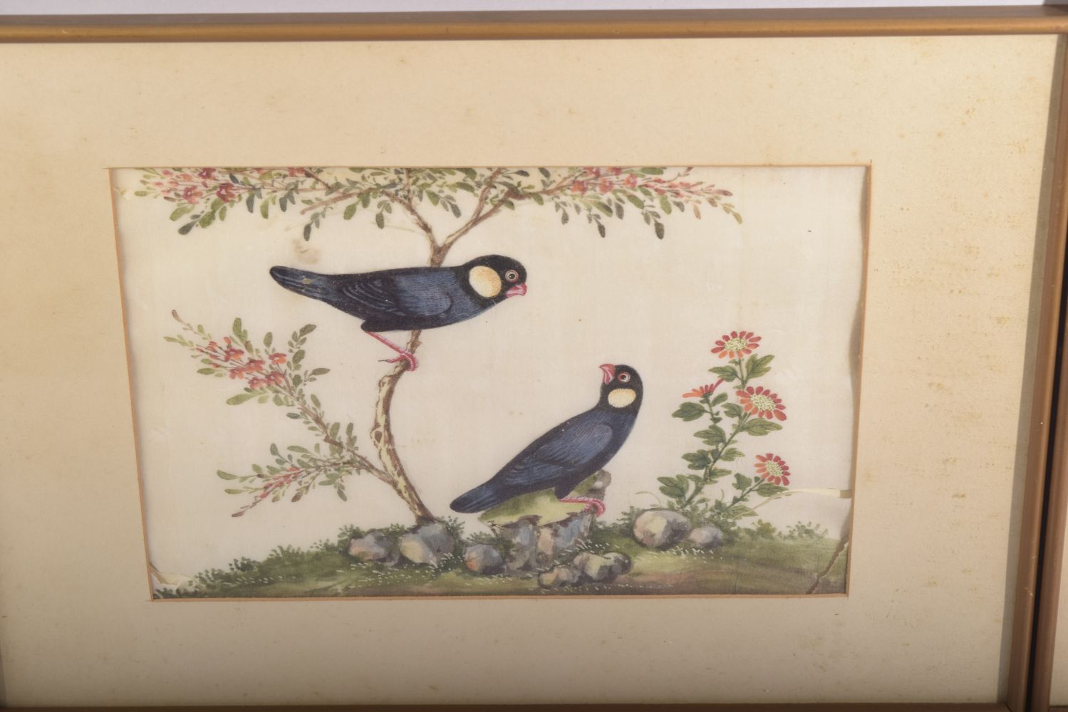 THREE GOOD FRAMED AND GLAZED CHINESE PITH PAINTINGS depicting different birds amongst native - Image 3 of 5