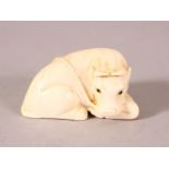 A JAPANESE MEIJI PERIOD CARVED IVORY NETSUKE OF A RECUMBENT OXEN - the oxen recumbent - the