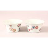 A PAIR OF CHINESE REPUBLIC STYLE FAMILLE ROSE PORCELAIN TEA CUPS, each decorated with floral roundel