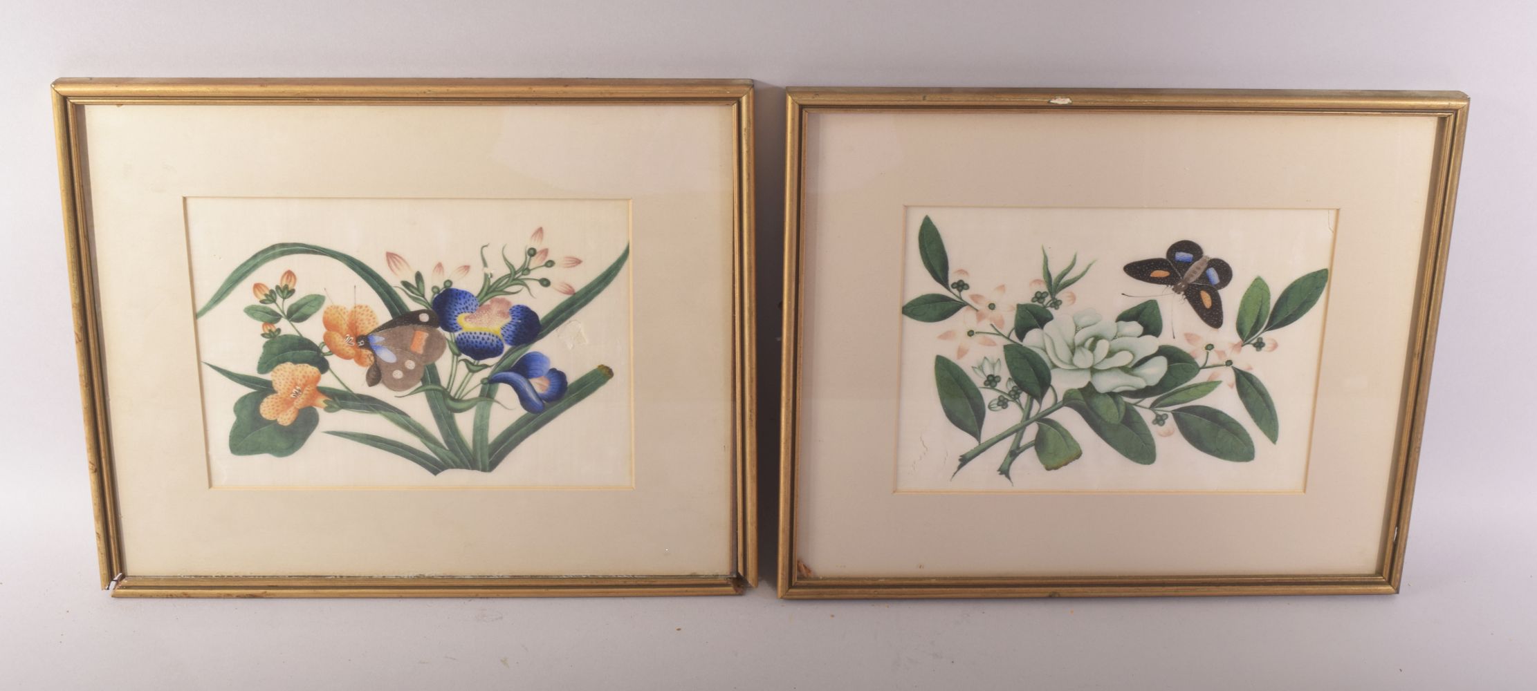 A PAIR OF FRAMED AND GLAZED CHINESE PITH PAINTINGS OF BUTTERFLIES amongst native flora, both