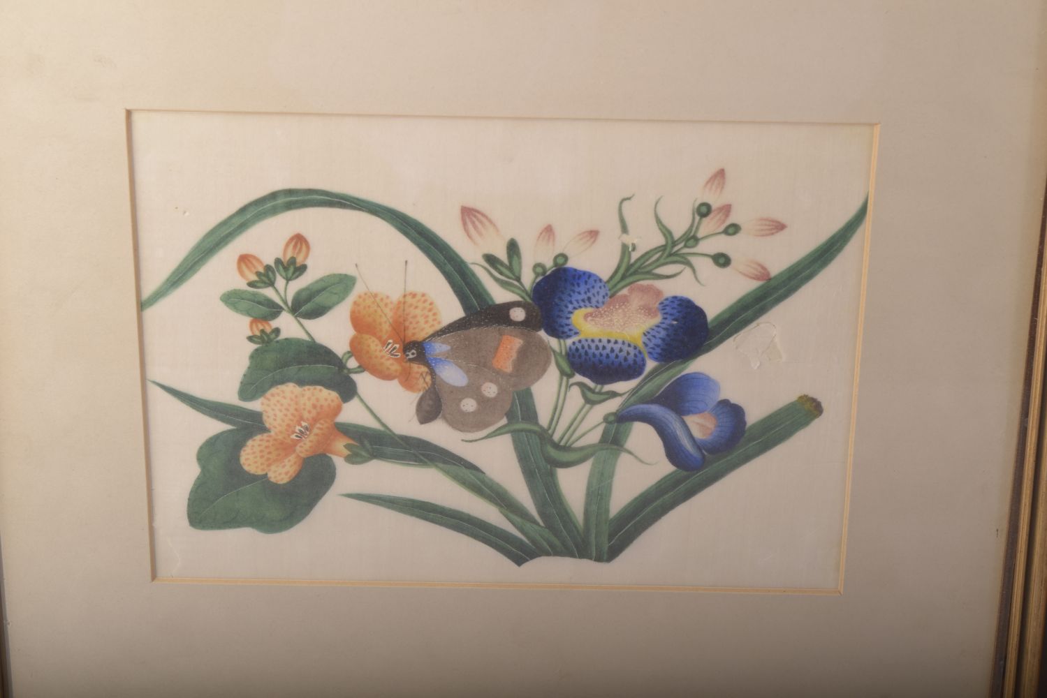 A PAIR OF FRAMED AND GLAZED CHINESE PITH PAINTINGS OF BUTTERFLIES amongst native flora, both - Image 3 of 4