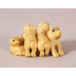 A JAPANESE MEIJI PERIOD CARVED IVORY NETSUKE OF A BOAR AND DOGS - the boar / pig seated aside four