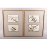 A SET OF FOUR FRAMED AND GLAZED CHINESE PITH PAINTINGS OF BIRDS, each painting depicting different