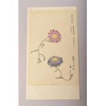 TWO JAPANESE MEIJI / TAISHO PAINTINGS OF FLOWERS ON PAPER, signed, image 27cm x 18cm and 28cm x 18.